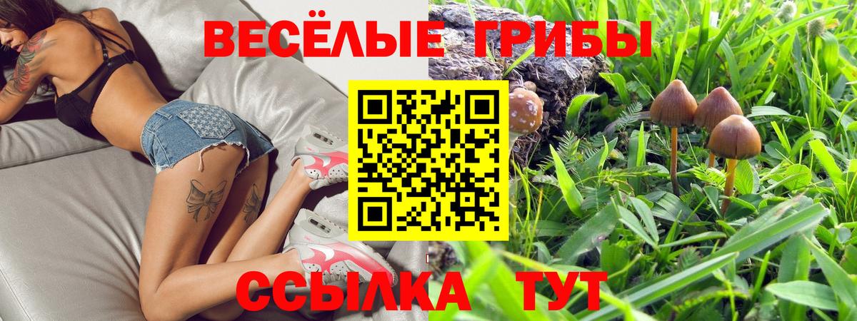 Богданович  Псилоцибиновые грибы Psilocybe  Псилоцибиновые грибы Cubensis  Вход с VPN 